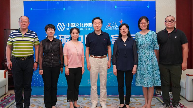 媒介投放策略制定：行业案例解析**