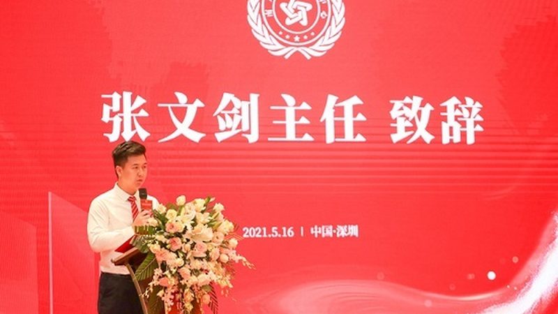 MG动画角色设计软件：揭秘设计与技术的完美融合**