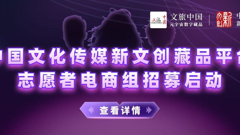 传媒公司品牌定制：揭秘定制化服务的核心要素**