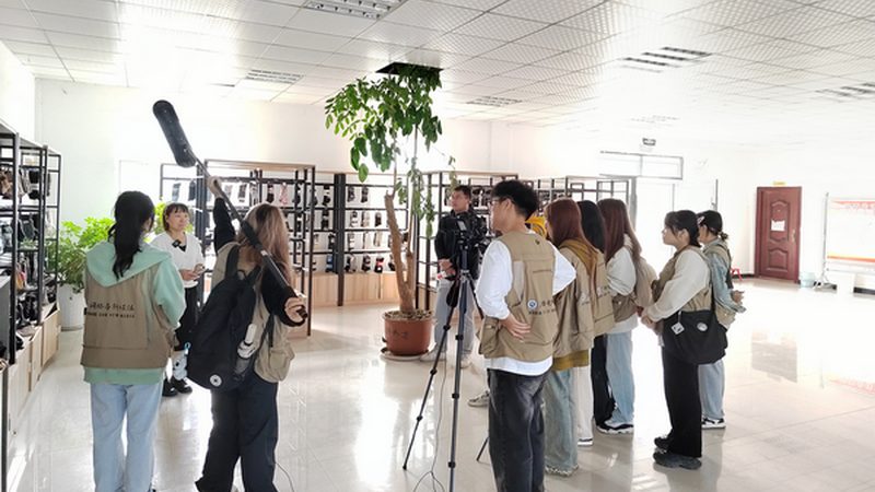 三维动画材质参数解析：揭秘价格背后的秘密**